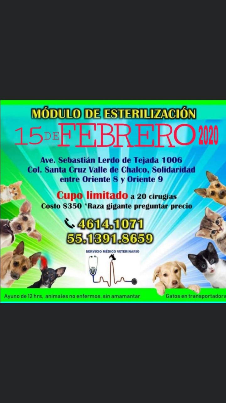 Módulo de esterilización