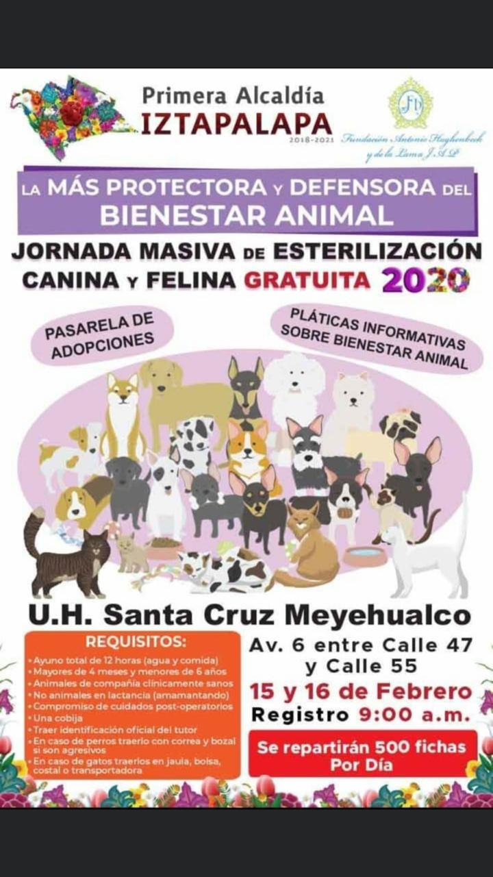 Jornada Masiva de esterilización